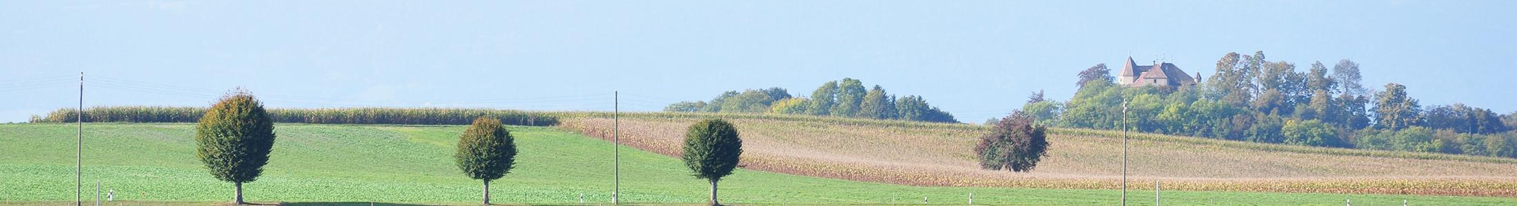 Investissements responsables : la CPEV publie un état des lieux de sa démarche