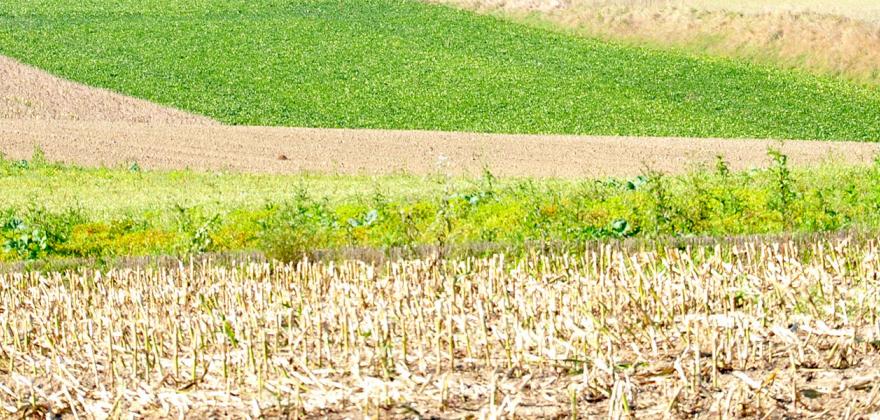 Berne présente aux cantons une facture qui pourrait atteindre 100 milliards 