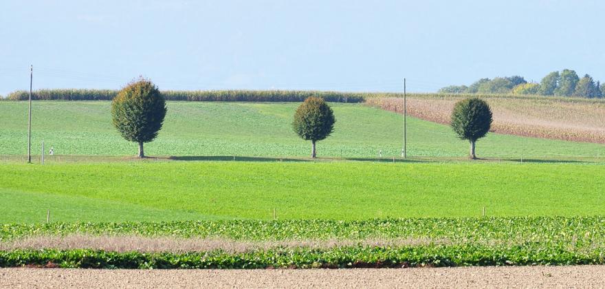 Investissements responsables : la CPEV publie un état des lieux de sa démarche